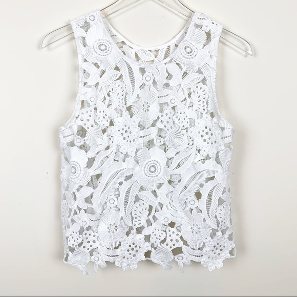 Caution To The Wind Tops - Caution to the Wind | White Lace Cutout Crop Top